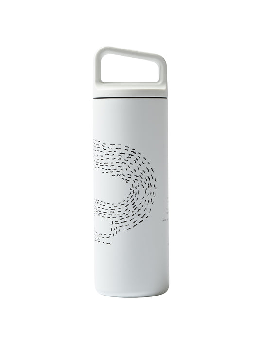 WIDE MOUTH BOTTLES 16oz